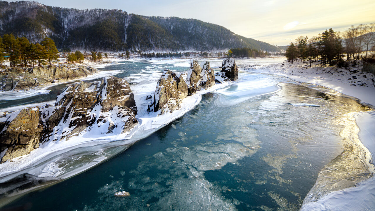 Boston Trust Walden Investment Management Firm Impact Investing