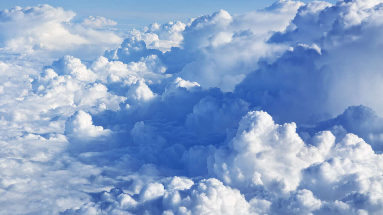 Boston Trust Walden Investment Management Firm Impact Investing